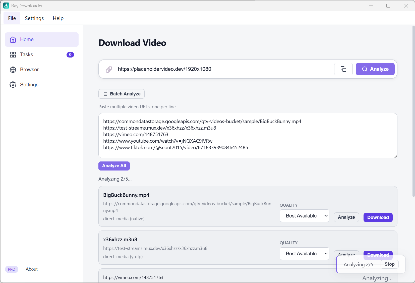 Rayexa Video Downloader interface