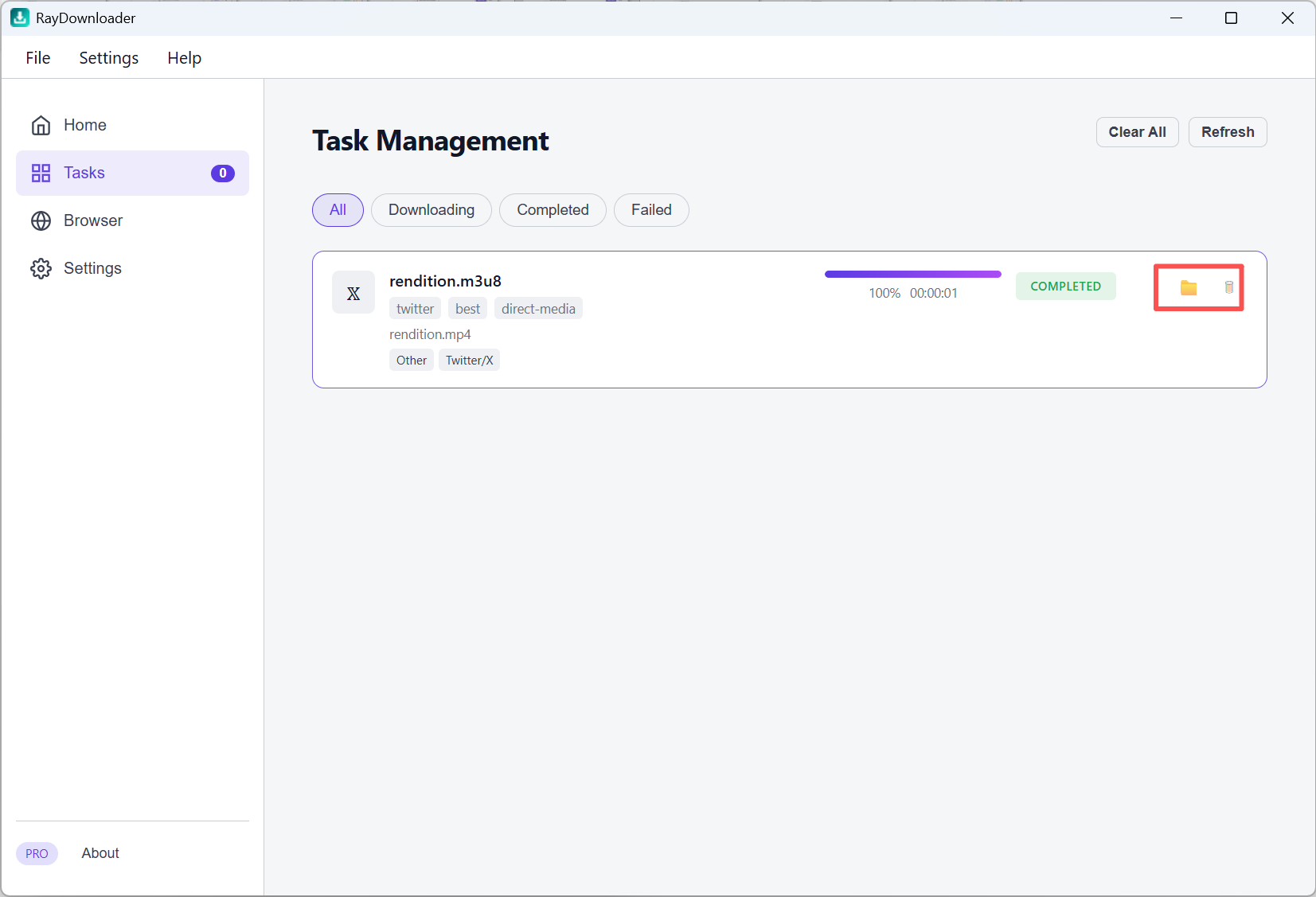 Tasks page with completed probe download