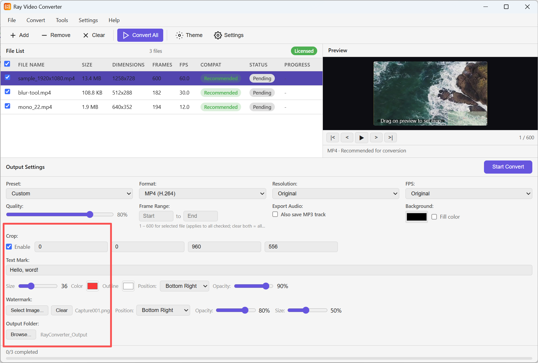 Output settings 鈥?Crop, Text Mark, Watermark