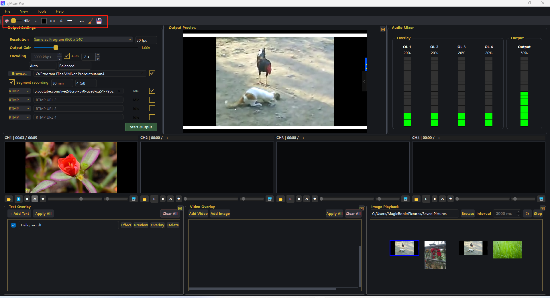 Paint toolbar above the live Output Preview