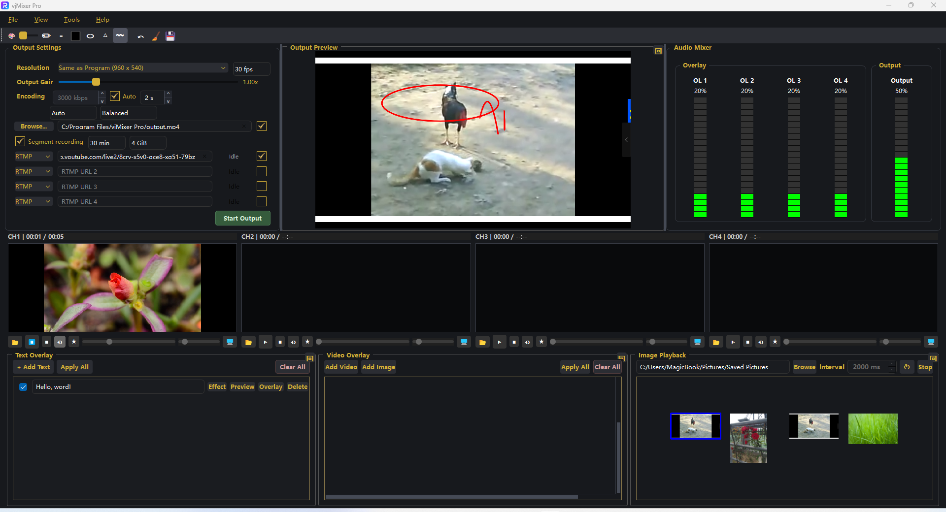 Red freehand annotation drawn on the Output Preview