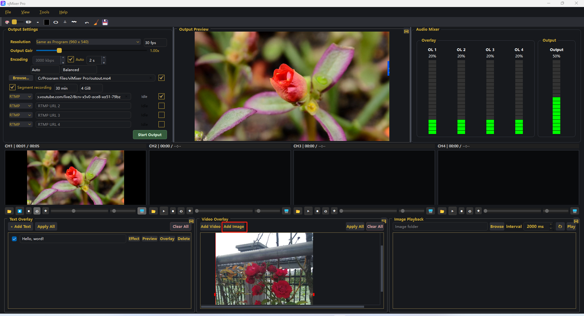 Add Image button with an image layer in the Video Overlay panel