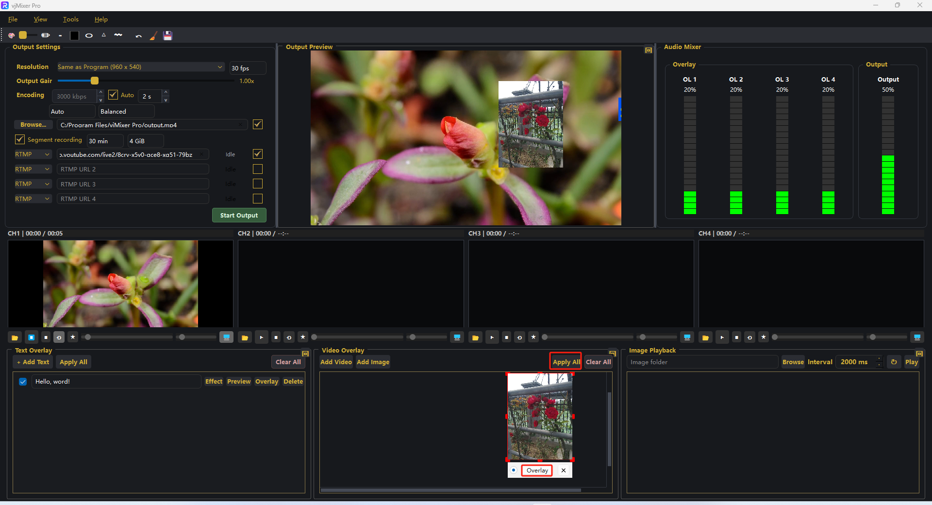Image layer overlaid on the Output Preview